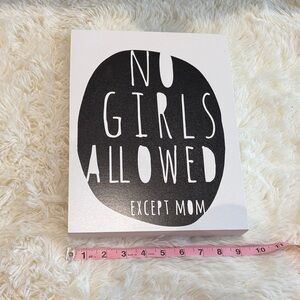 Hobby Lobby Wooden Wall Art | No Girls Allowed